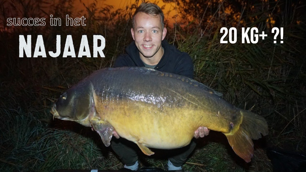 KARPERVISSEN in het NAJAAR op een VOERSTEK ! Tacktieken, dikke bakken en meer I DWFishingteam
