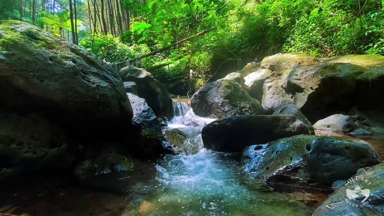 River Sounds & waterfall Sounds for Sleeping | Nature Stream for Relaxing & Stress Relief. #river 4