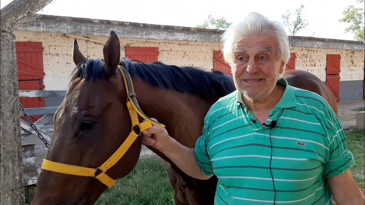 Un día en los Stud del Hipódromo del Jockey Club Bell Ville