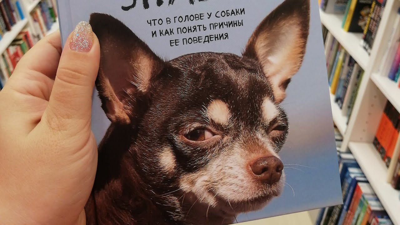 АСМР ЧИТАЙ ГОРОД асмр в магазине / ШЕПОТ