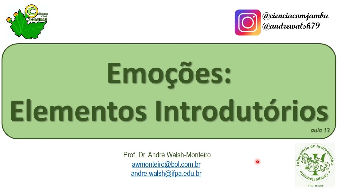 IntNeuro: Emoções - Elementos Introdutórios, aula 13