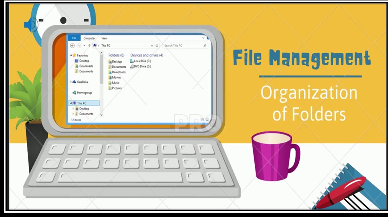 Learn what are files and folders. Video for Primary kids