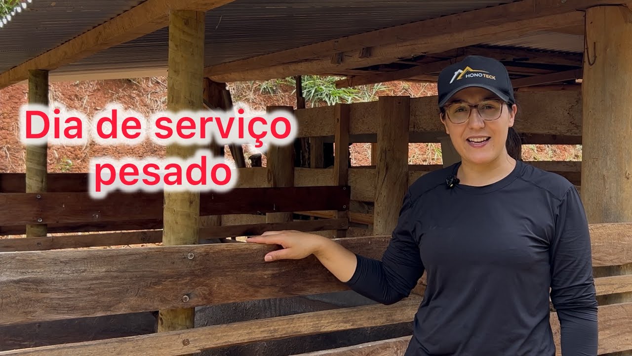 Mostrando o crescimento dos  porcos/ Coversa sobre o canal/Fiz um serviço pesado