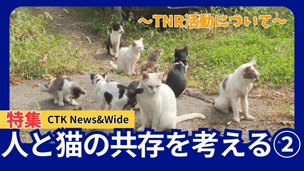 人と猫の共存を考える②～TNR活動について～