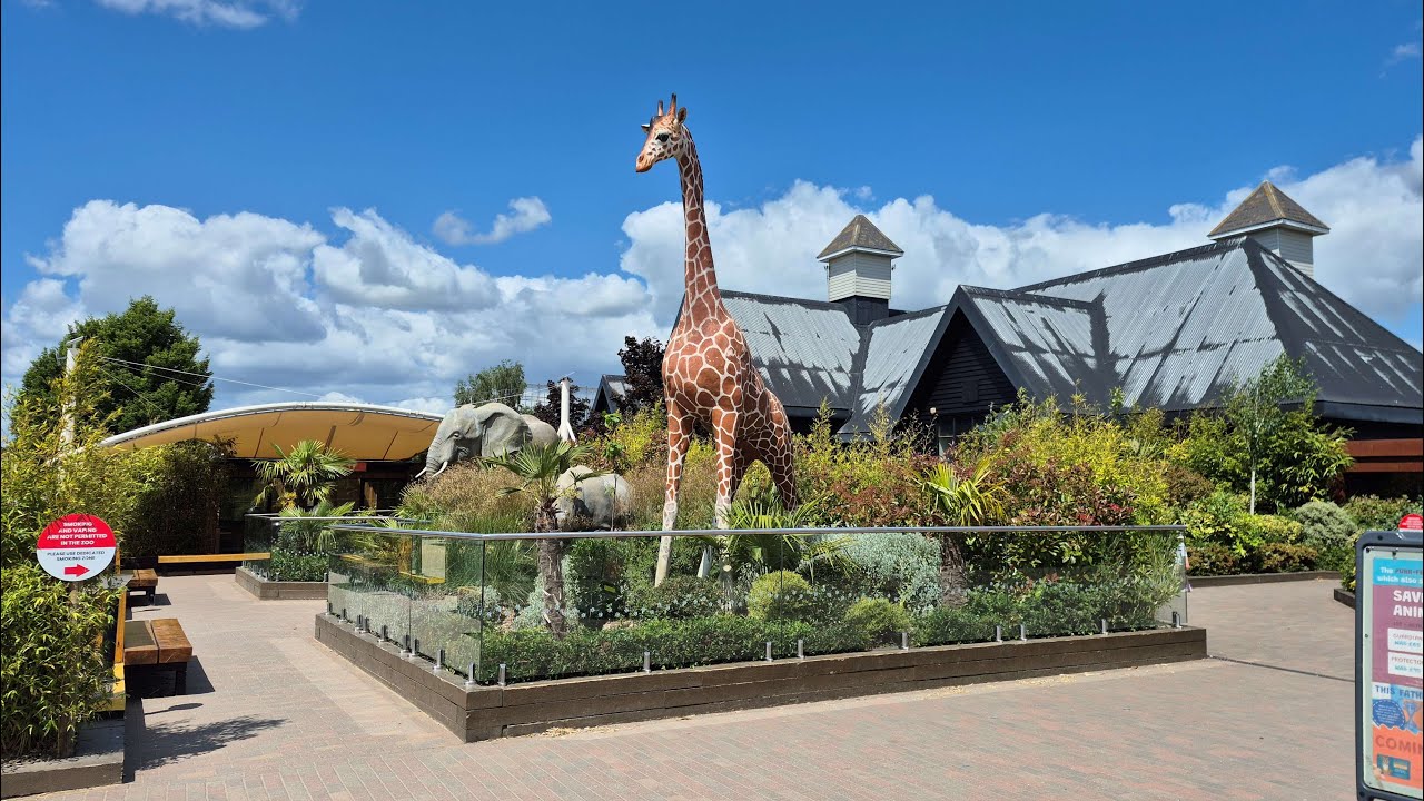 Colchester Zoo  Essex