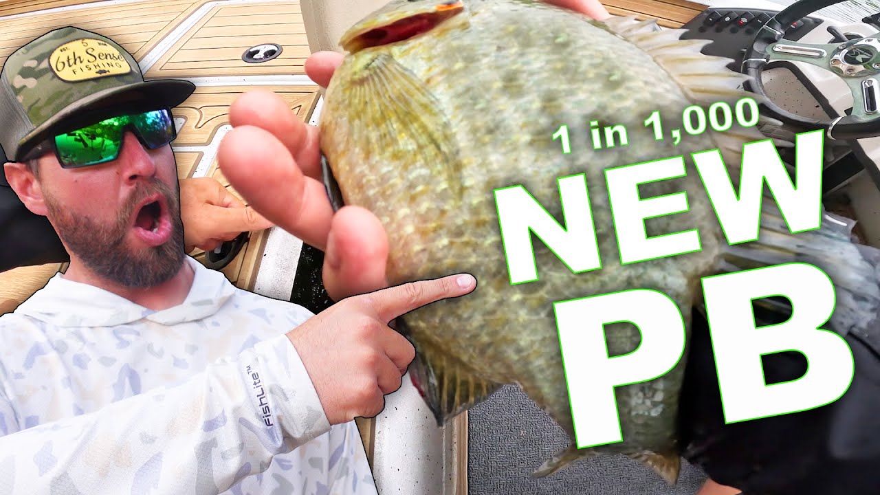 Catching HUGE very RARE Fish on Kentucky Lake! New PB (RED EAR and Blue Gill non stop action)