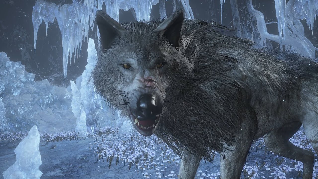 Dark Souls Sound Design - Greatwolf