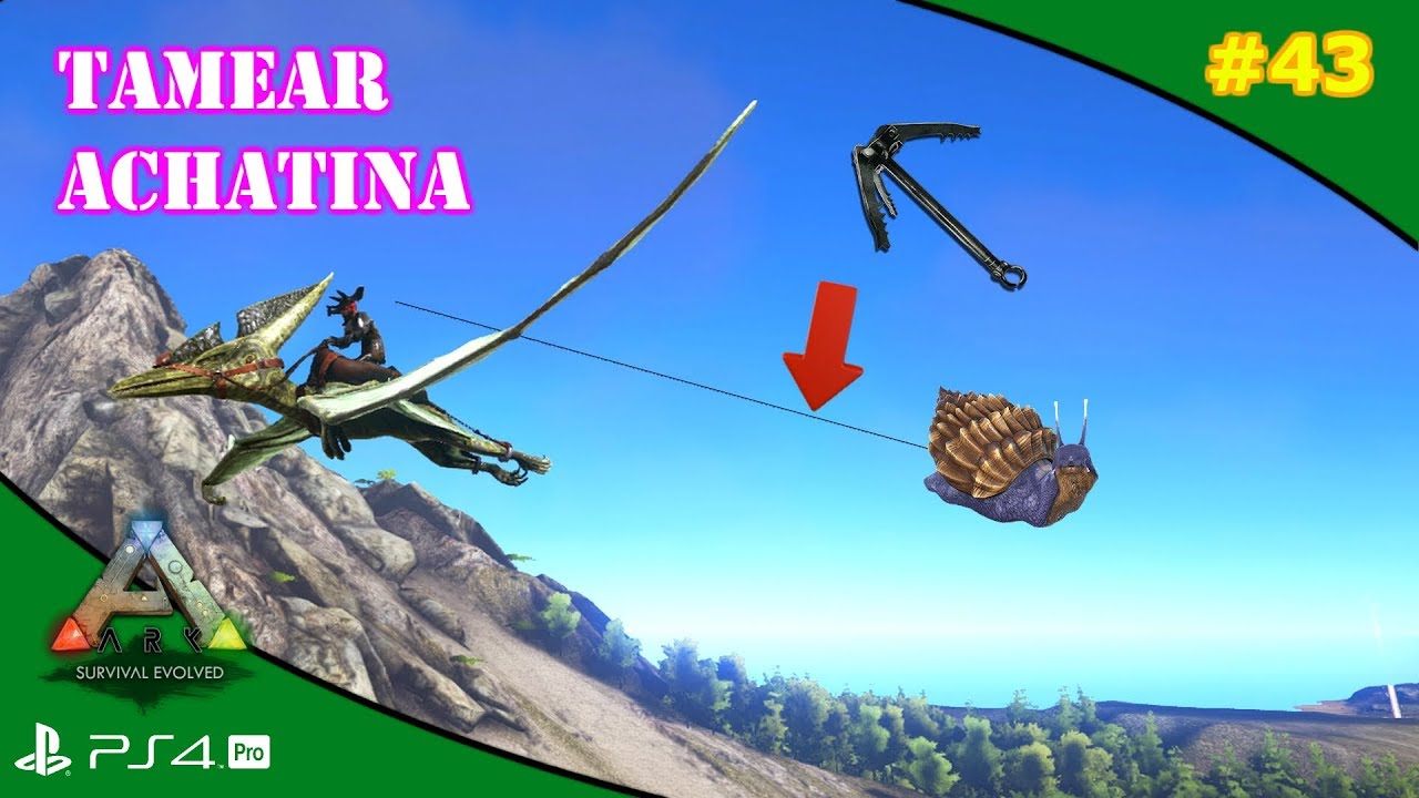 TAMEAR ACHATINA SUPER FACIL (funciona en PVE) | ARK Survival Evolved [#43] | Servidor Oficial PVE