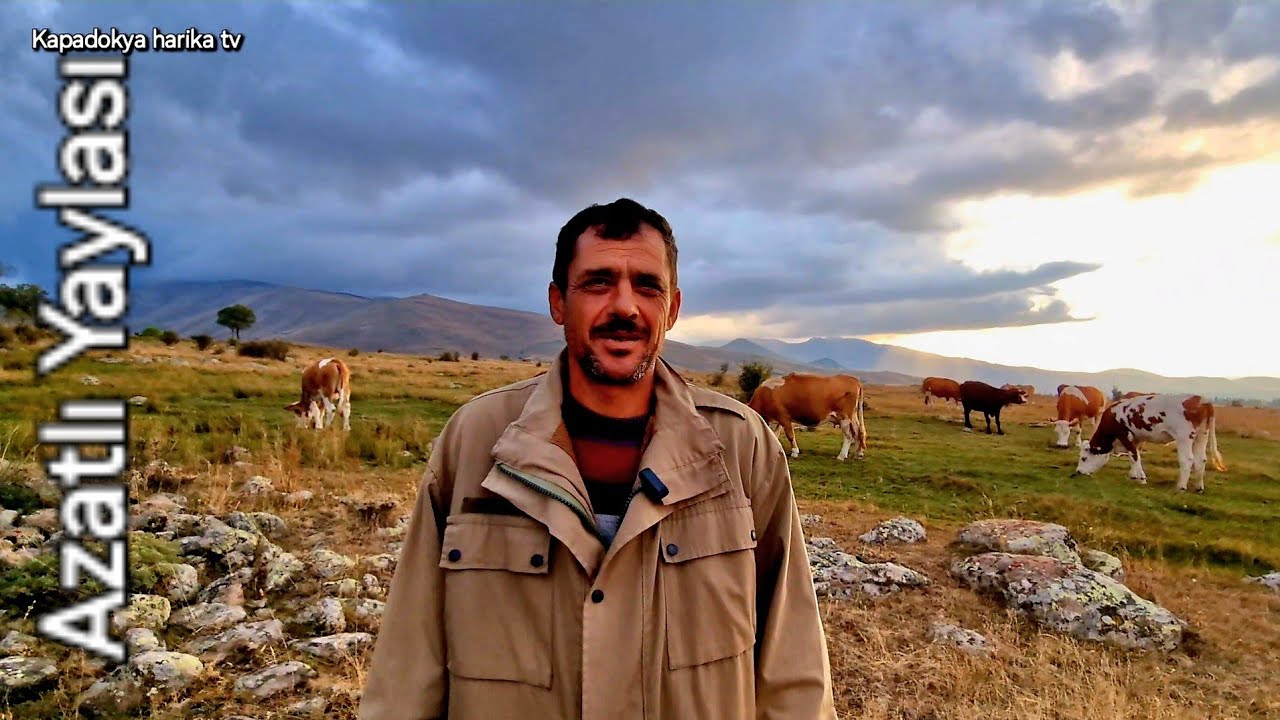 Niğde Çiftlik Azatlı Kasabası Melendiz Dağ Eteklerinde Sığır Otlatan Mehmet Abim le röportaj Güzeldi
