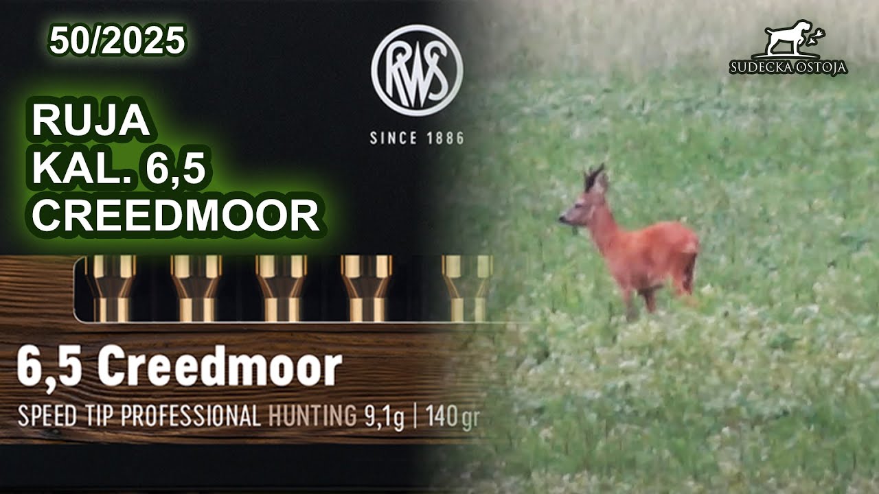 Ruja i podsumowanie kalibru 6,5 Creedmoor - Sudecka Ostoja 50/2025