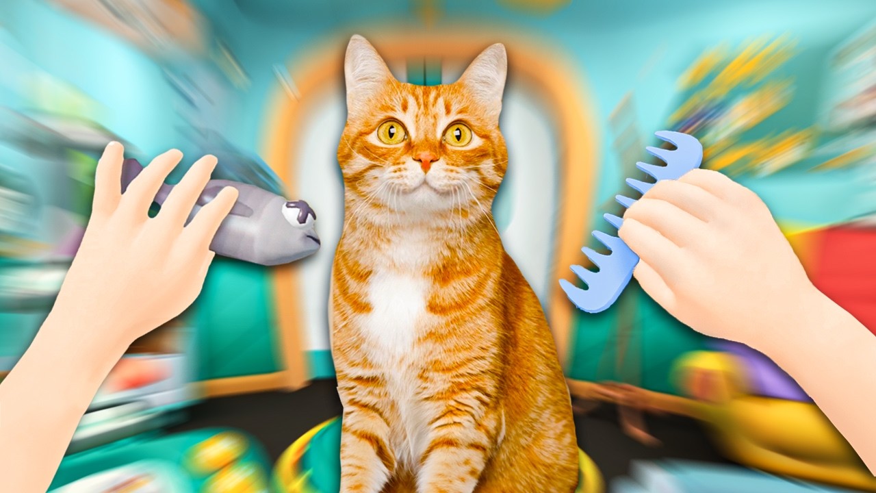 KEDİLERİ İYİLEŞTİRDİM! - iplusd VR