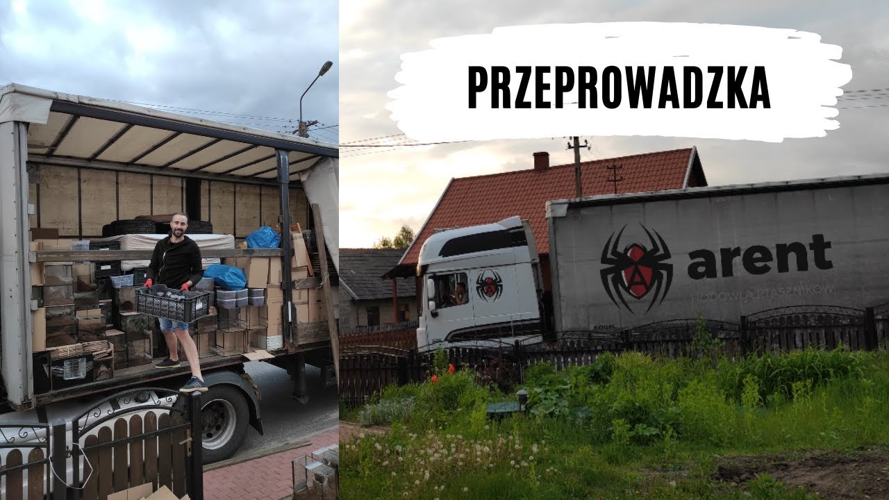 400 km z tysiącami pająk&oacute;w - przeprowadzka na Podlasie | arent.pl