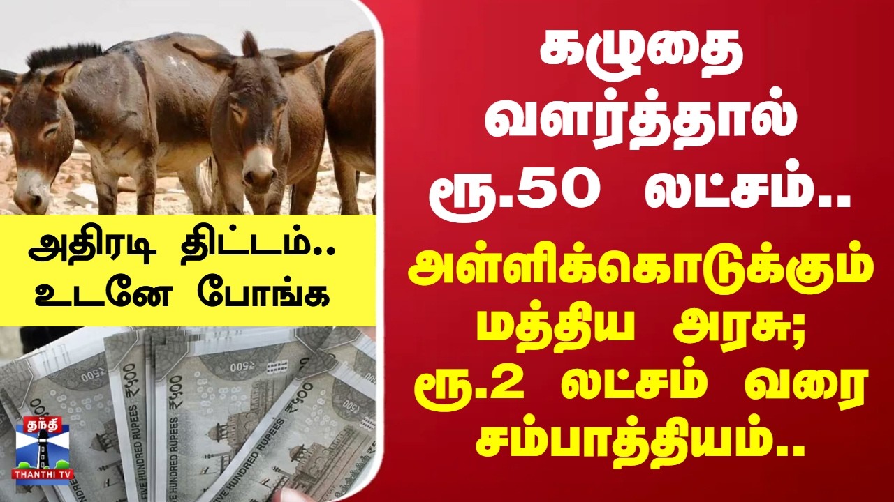 Donkey | கழுதை வளர்த்தால் ரூ.50 லட்சம்.. அள்ளிக்கொடுக்கும் மத்திய அரசு; ரூ.2 லட்சம் வரை சம்பாத்தியம்