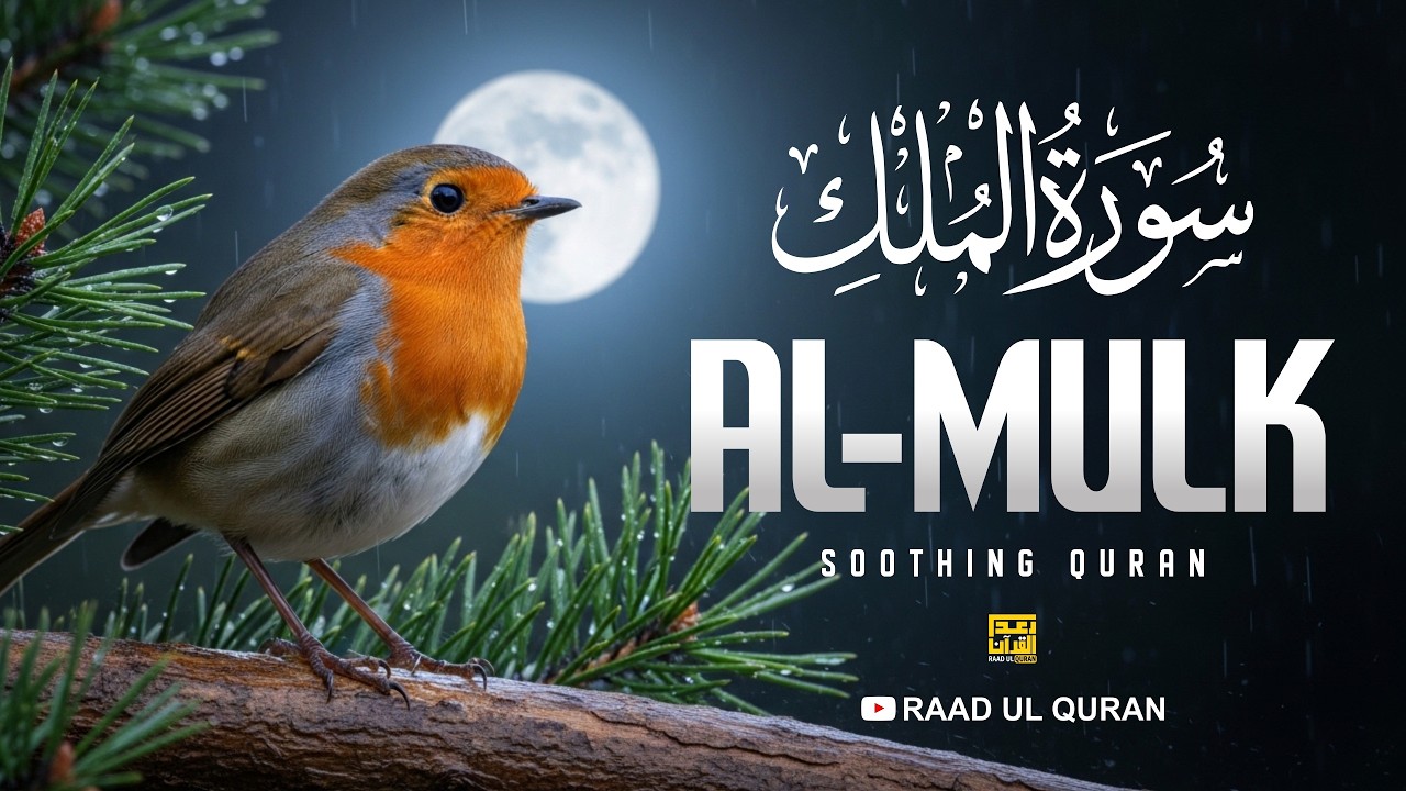 Surah Al Mulk سورة الملك | Protective & Beautiful Quran Recitation | Raad Ul Quran | #SurahMulk