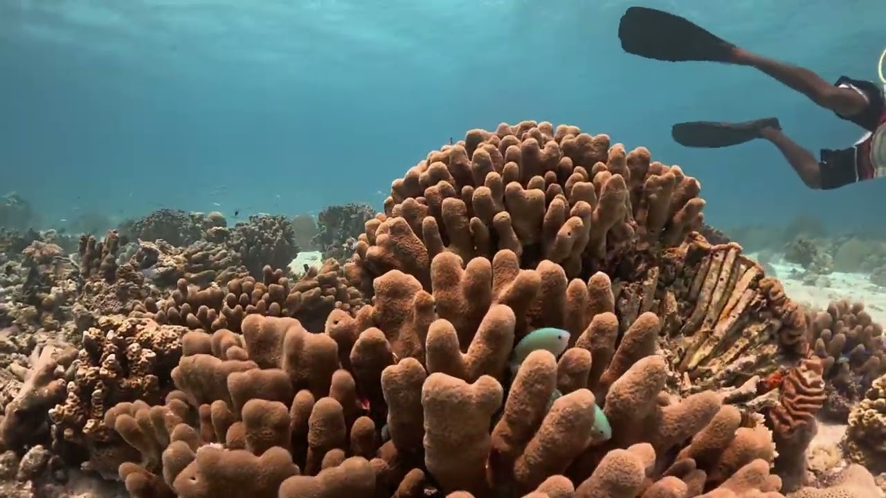 Maldives - Fulhadhoo, March 2025