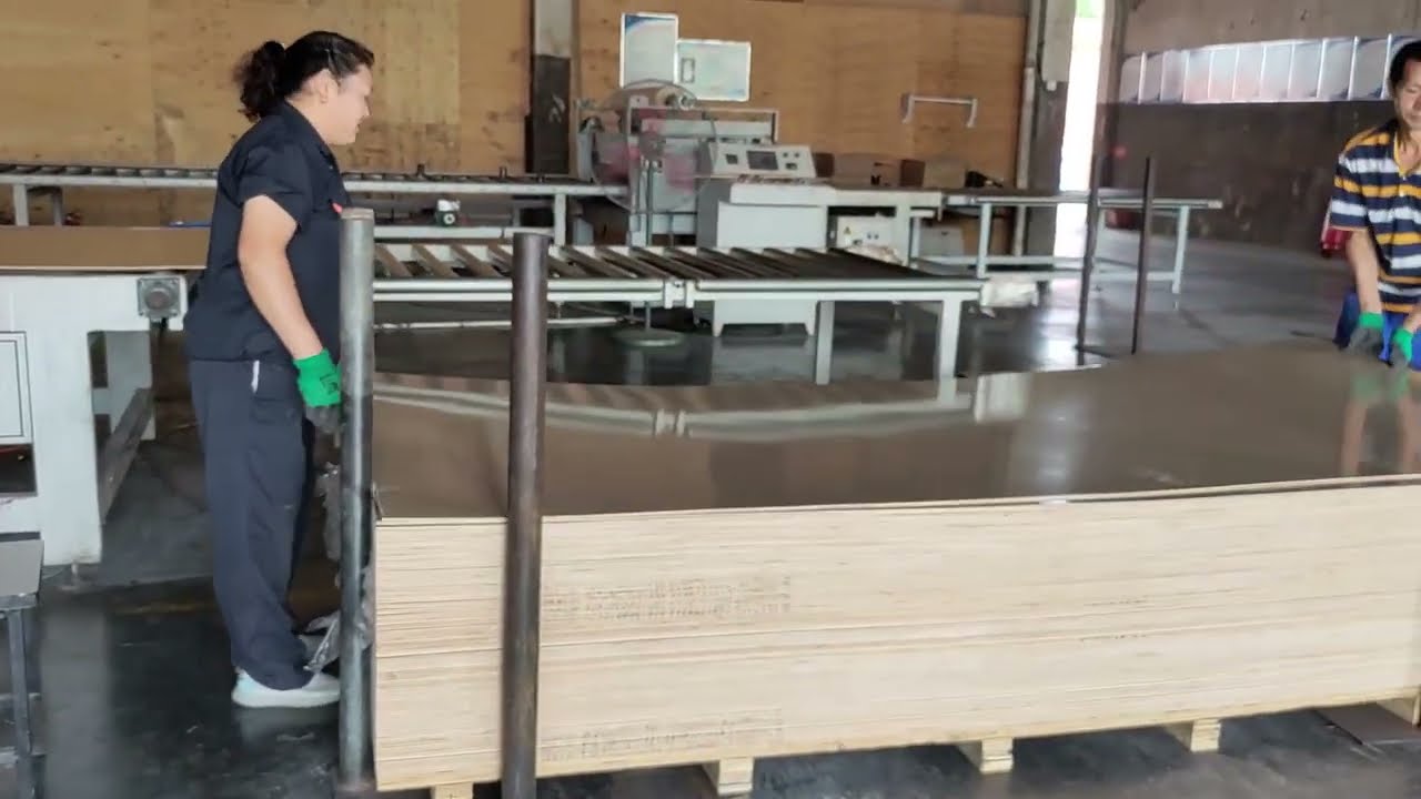 Intelligent panel finishing UV roll coating line woodworking maachine #machine #uvprinting #woodwork