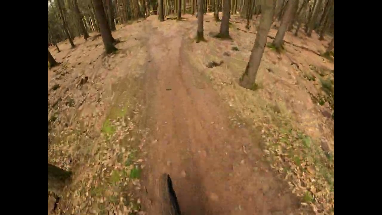 Bikepark Beerfelden 2026 Raceline