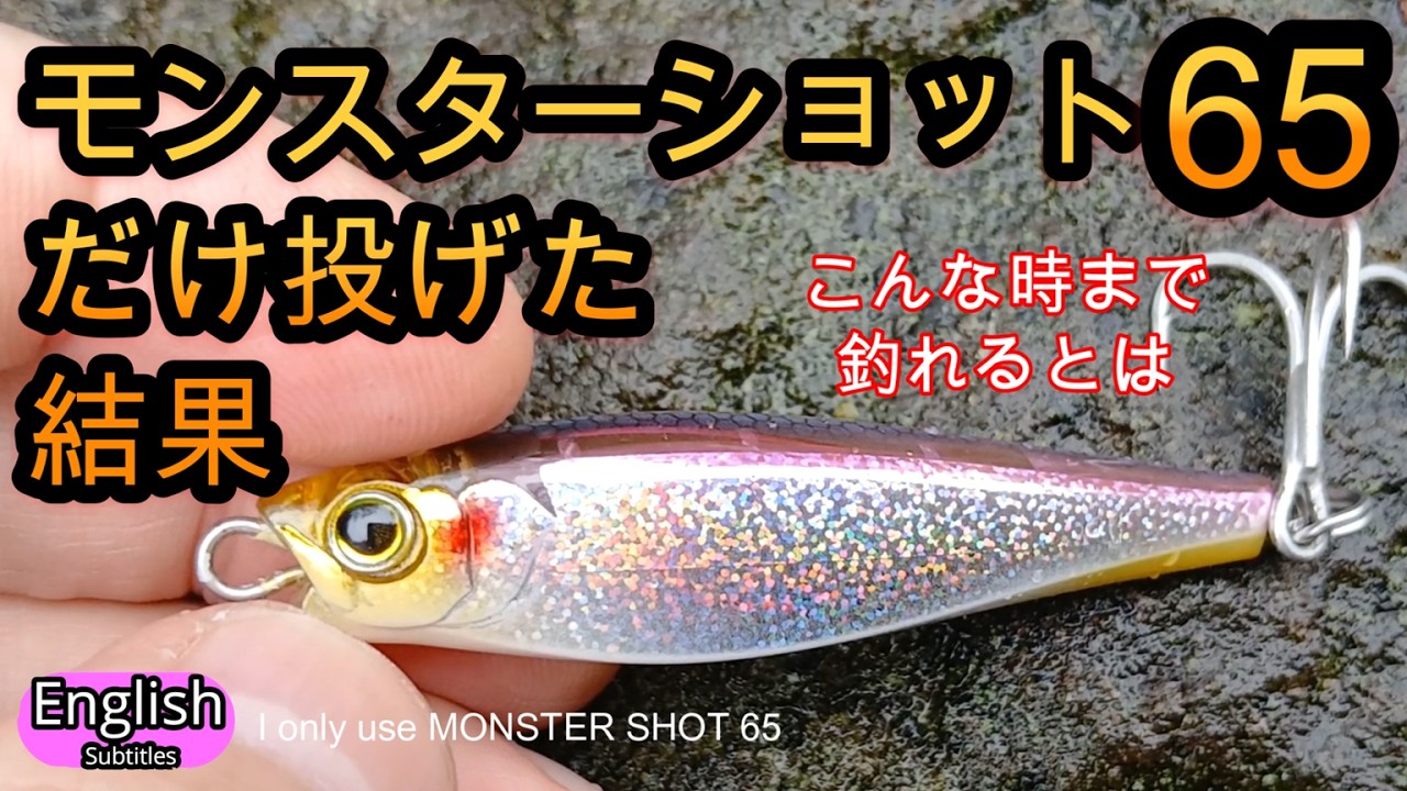 モンスターショット65　小磯で渋い時期に投げてみた結果がすごかった　ショアジギング　シンキングペンシル