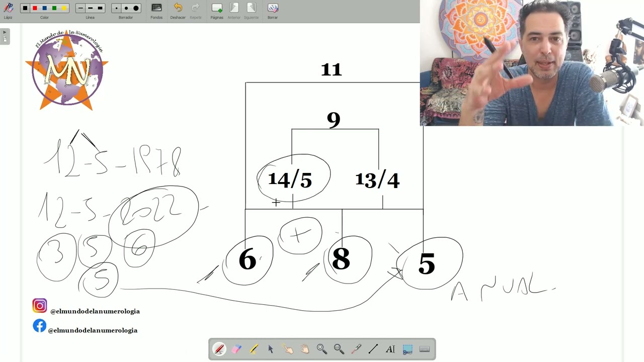 Trimestres Numerologicos