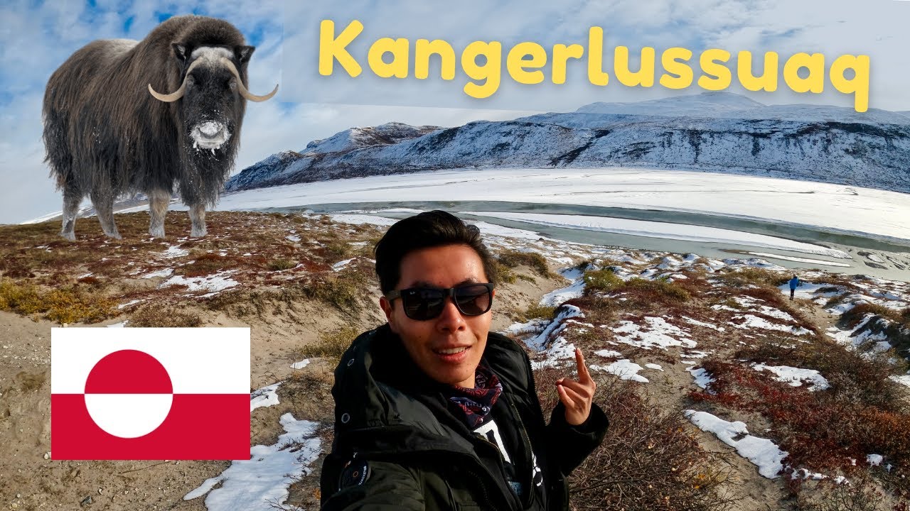 KANGERLUSSUAQ | Wild Musk Ox Fight & Hiking Greenland Ice Cap (GREENLAND TRAVEL VLOG Ep 1)