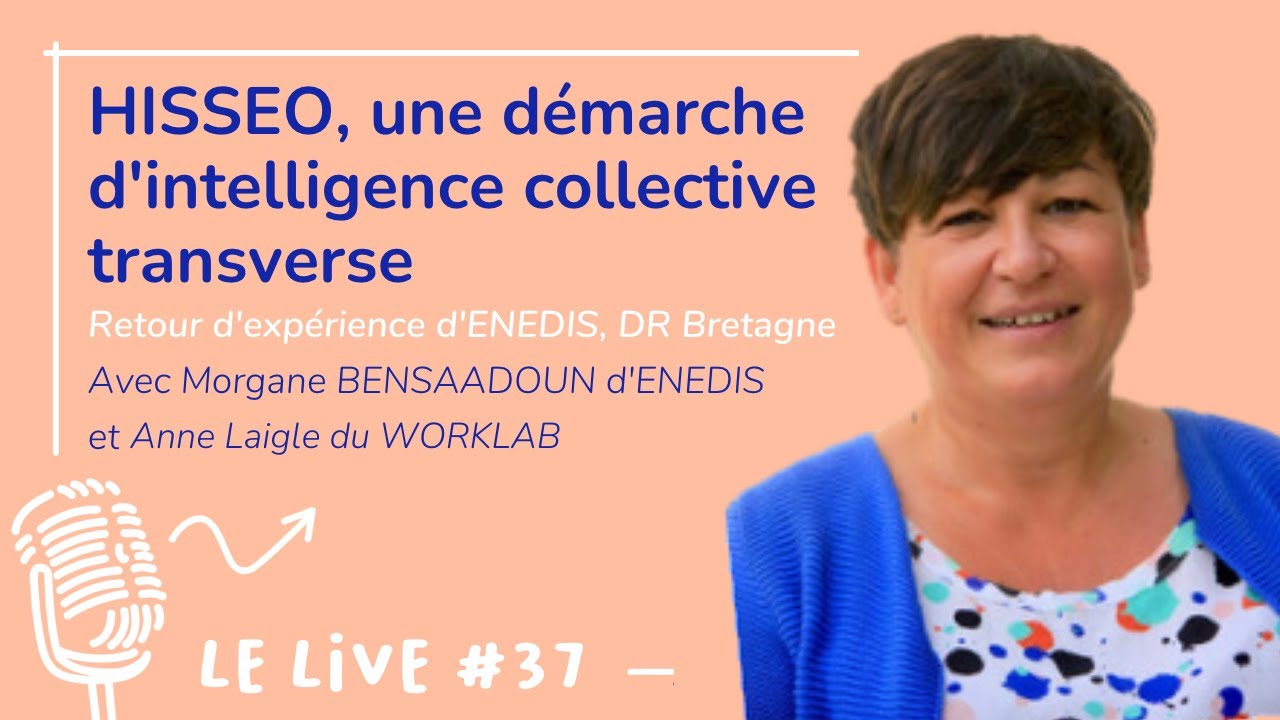 Retour d'expérience avec ENEDIS en Bretagne et son programme HISSÉO
