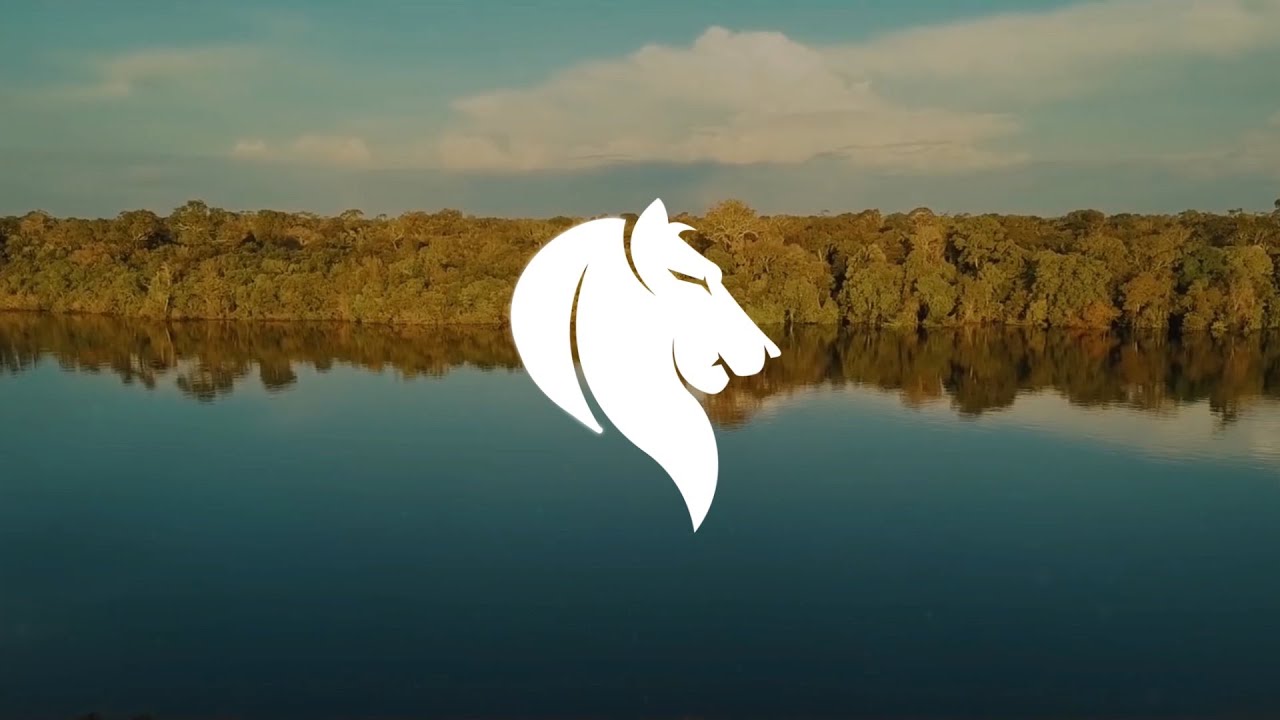 PlunterX - Save The Amazon [Amazon Rainforest Tribute Video]