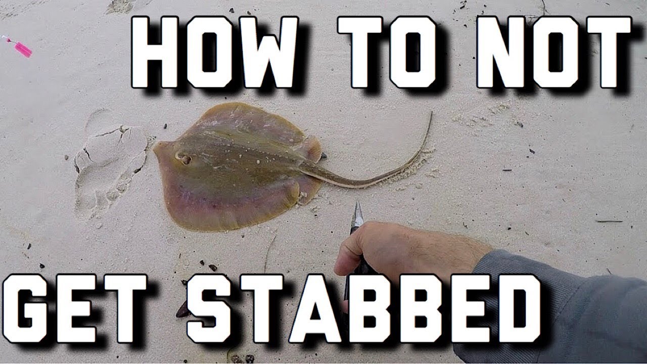 How To- Safely removing a hook from a StingRay- Surf Fishing