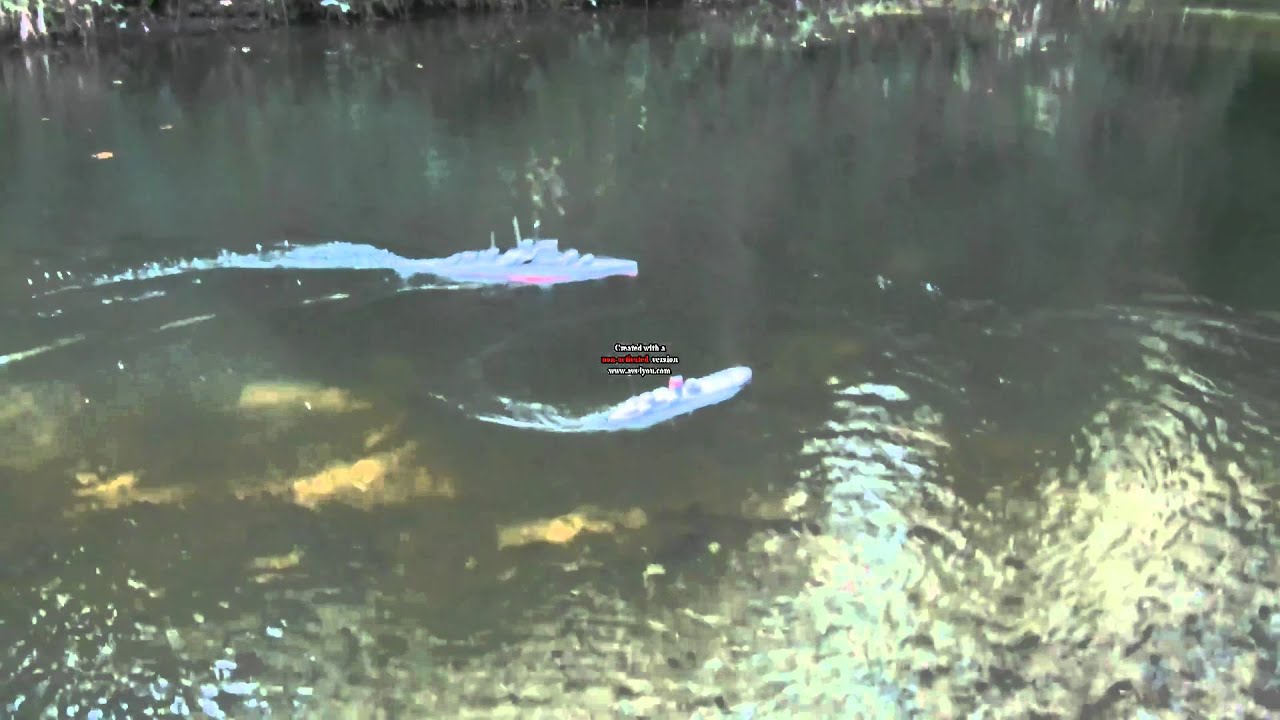 HMS Roberts Sinks