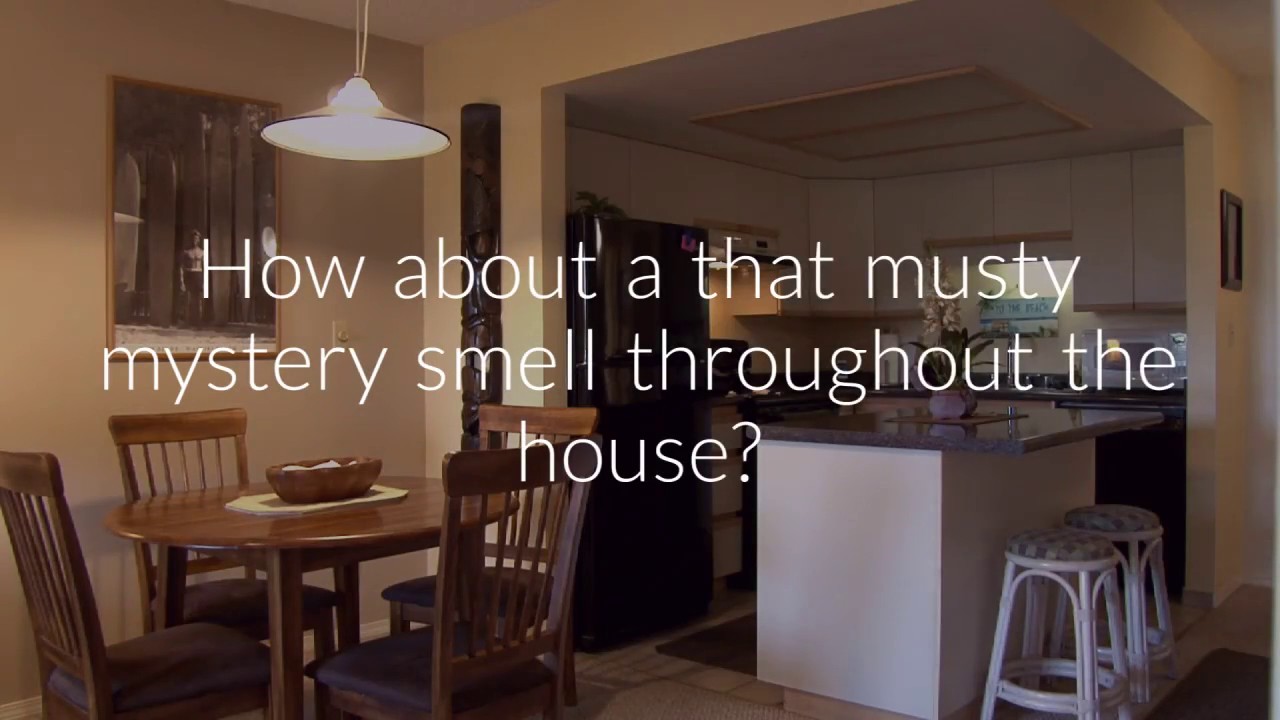 Master Odor Removal | Professional Odor Removal Service