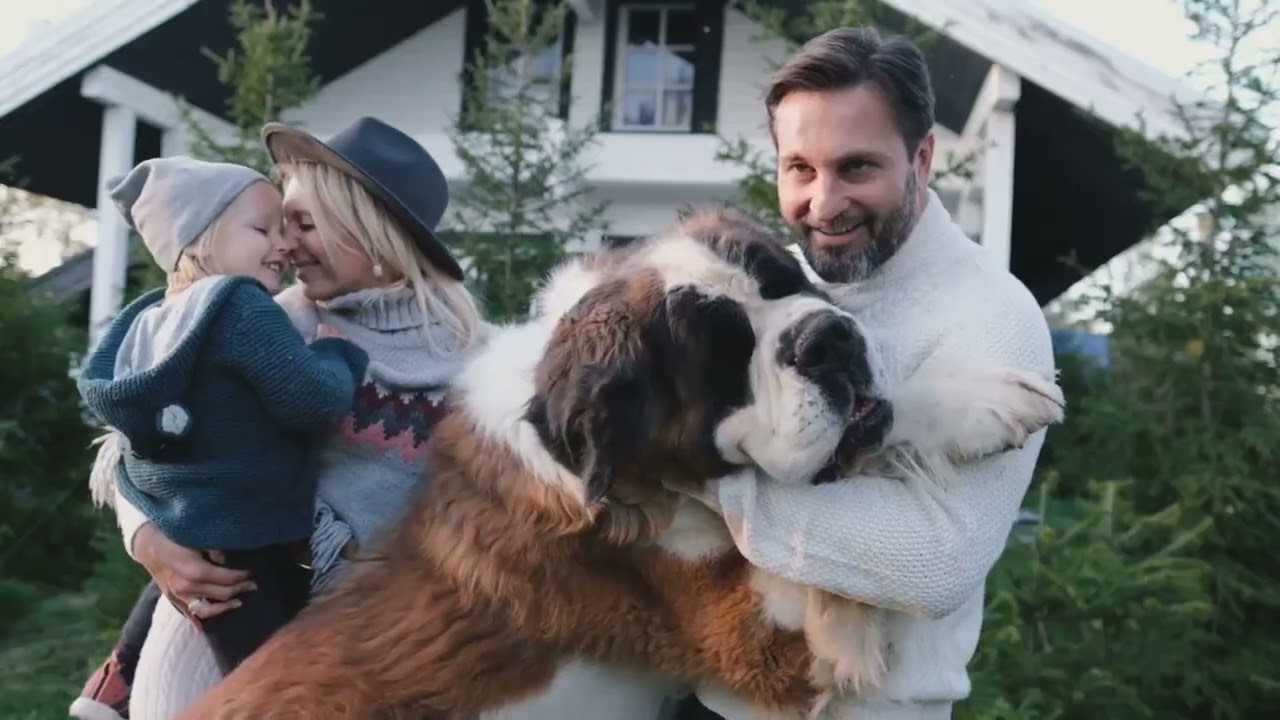 Giant Dogs That Tower Over Humans!
