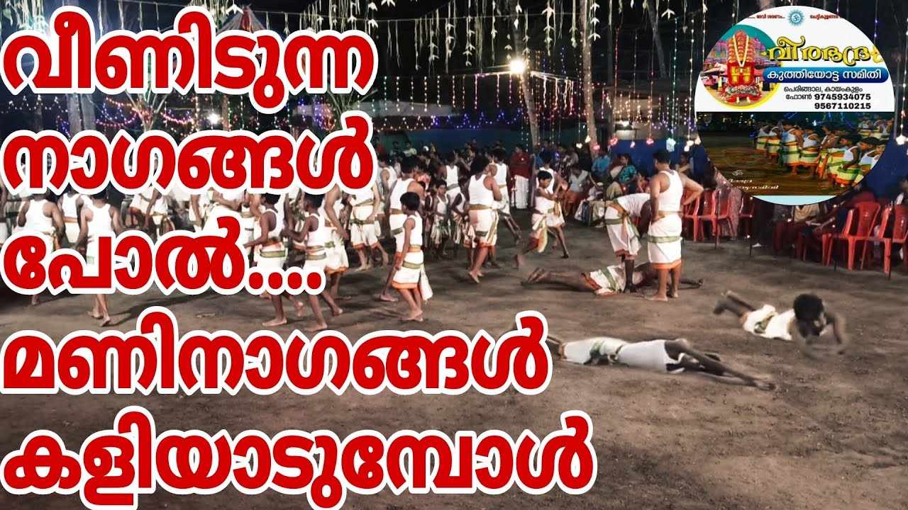 മണിനാഗങ്ങൾ കളിയാടുമ്പോൾ അടിയങ്ങൾ തൊഴുതാടുന്നു...🥵. watch till end 🔚