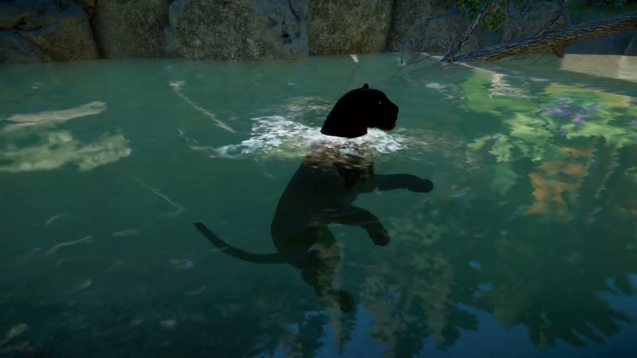 Black African Leopard | Planet Zoo Animals