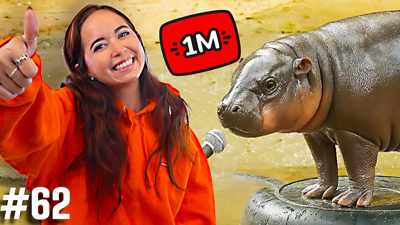 Talking About the Most VIRAL Animals in the World