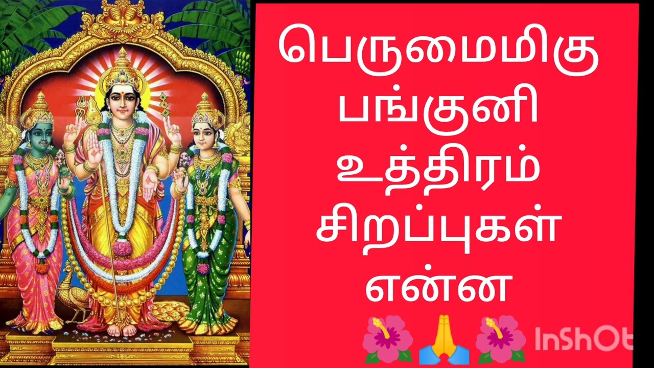 🙏🌺 பங்குனி உத்திரம் சிறப்புகள் என்ன பார்க்கலாம்🌺🙏