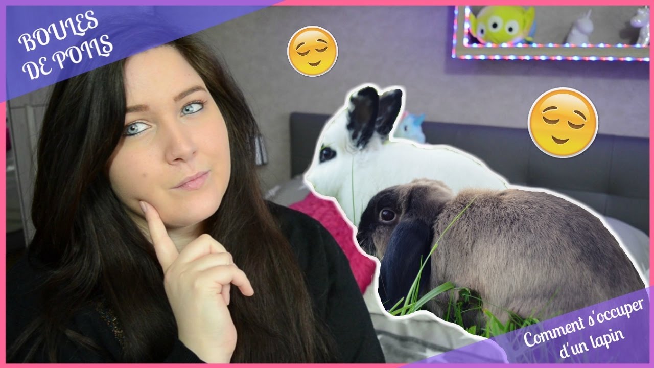 ➳ COMMENT S'OCCUPER D'UN LAPIN / AVOIR UN LAPIN [ ♥ BOULES DE POILS ♥ ]