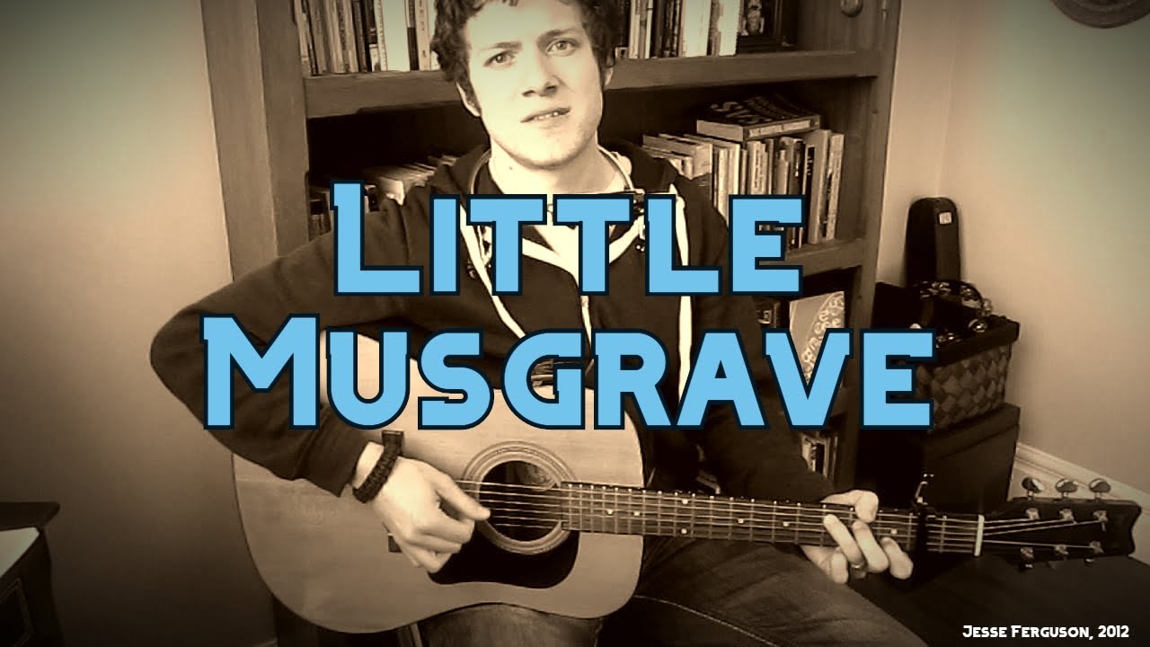Little Musgrave