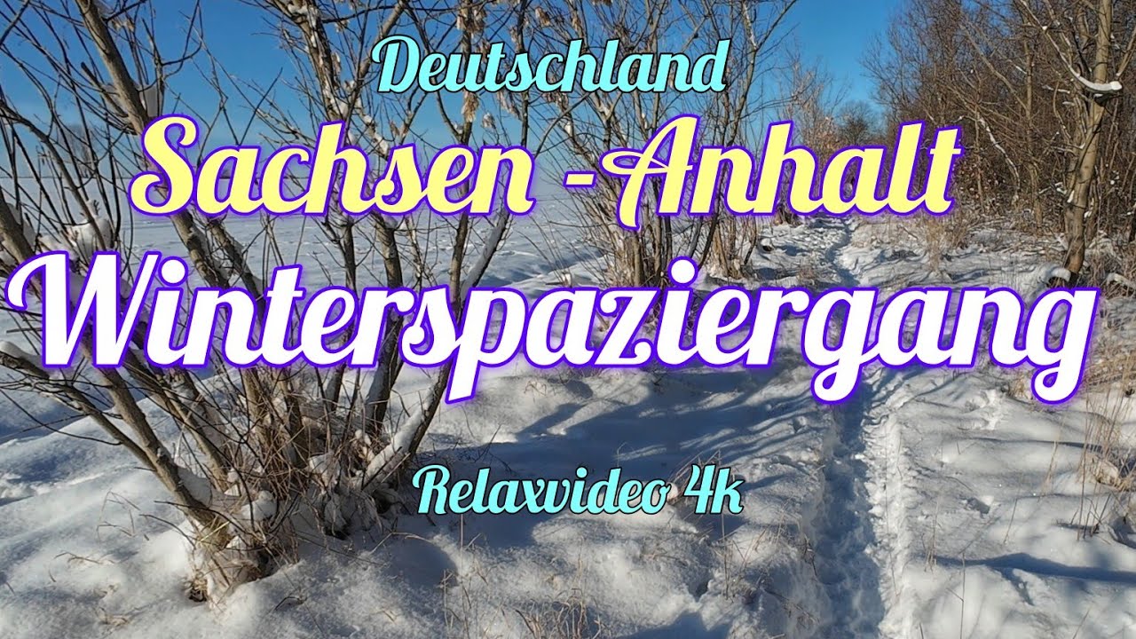 Ein Winterspaziergang, begleitet von Naturgeräuschen und ruhiger Musik.