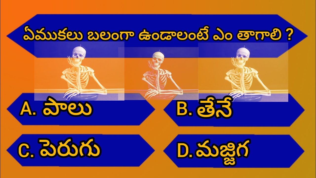 Important day to day intresting questios||RL THOUGHTS||Episode-1||Intresting Facts 