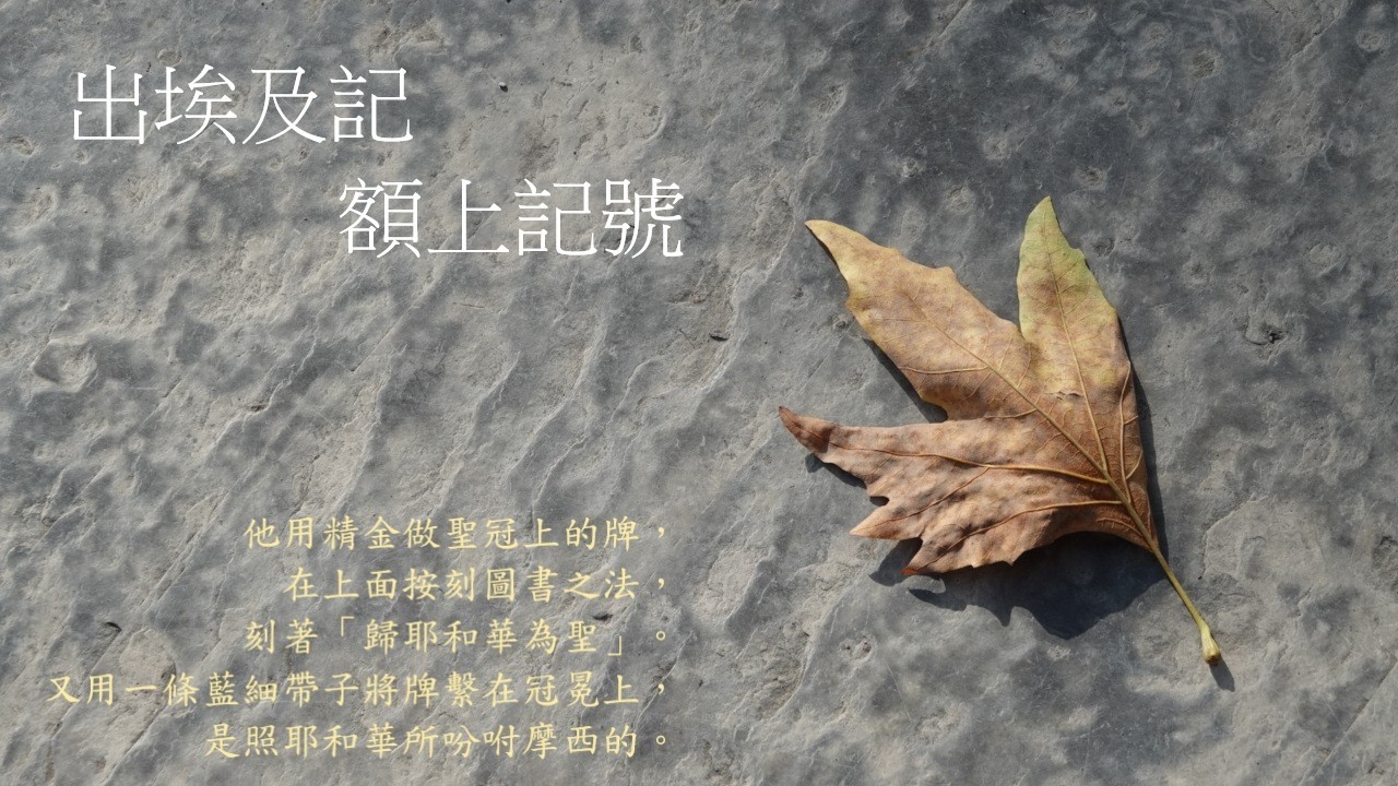 靈修:出埃及記-額上記號 20260301