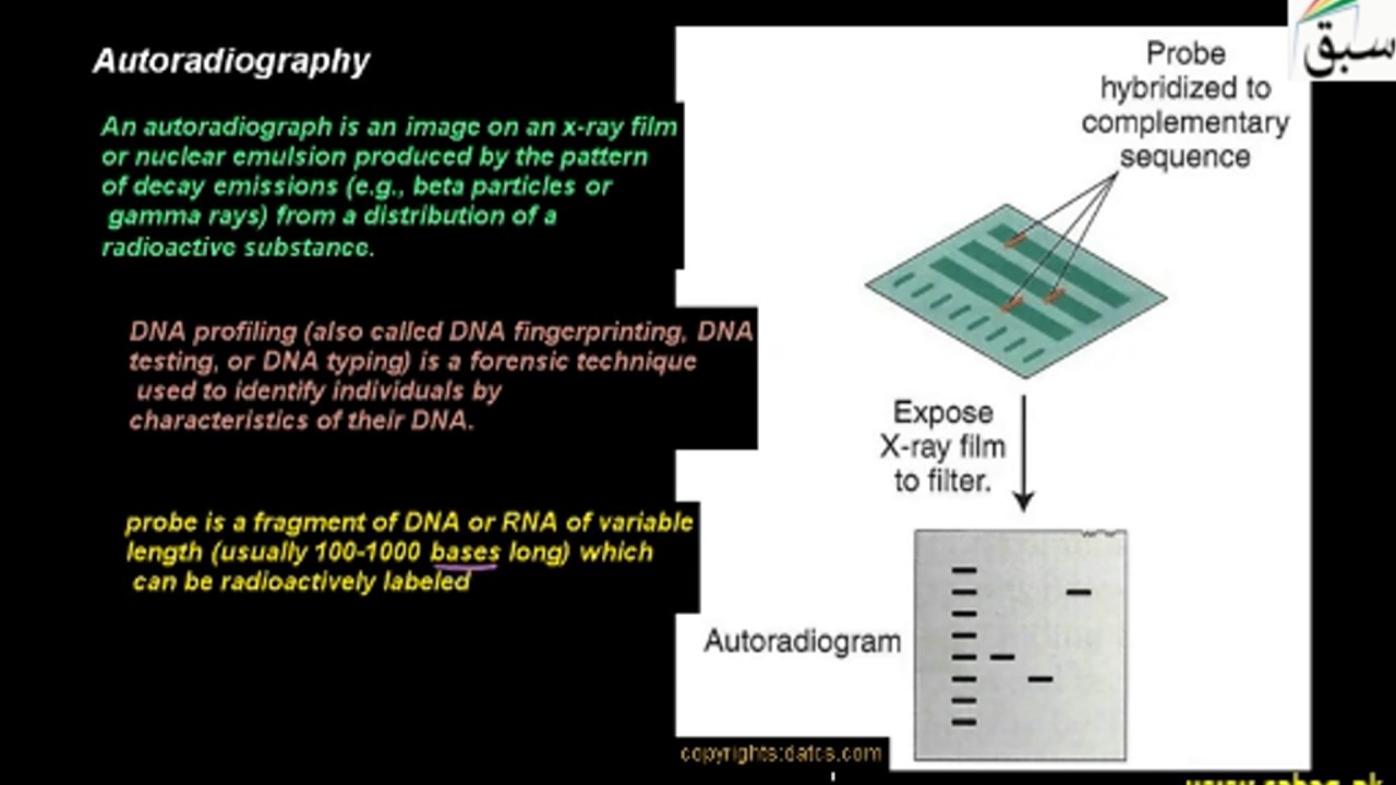 Autoradiography, Biology Lecture | Sabaq.pk |