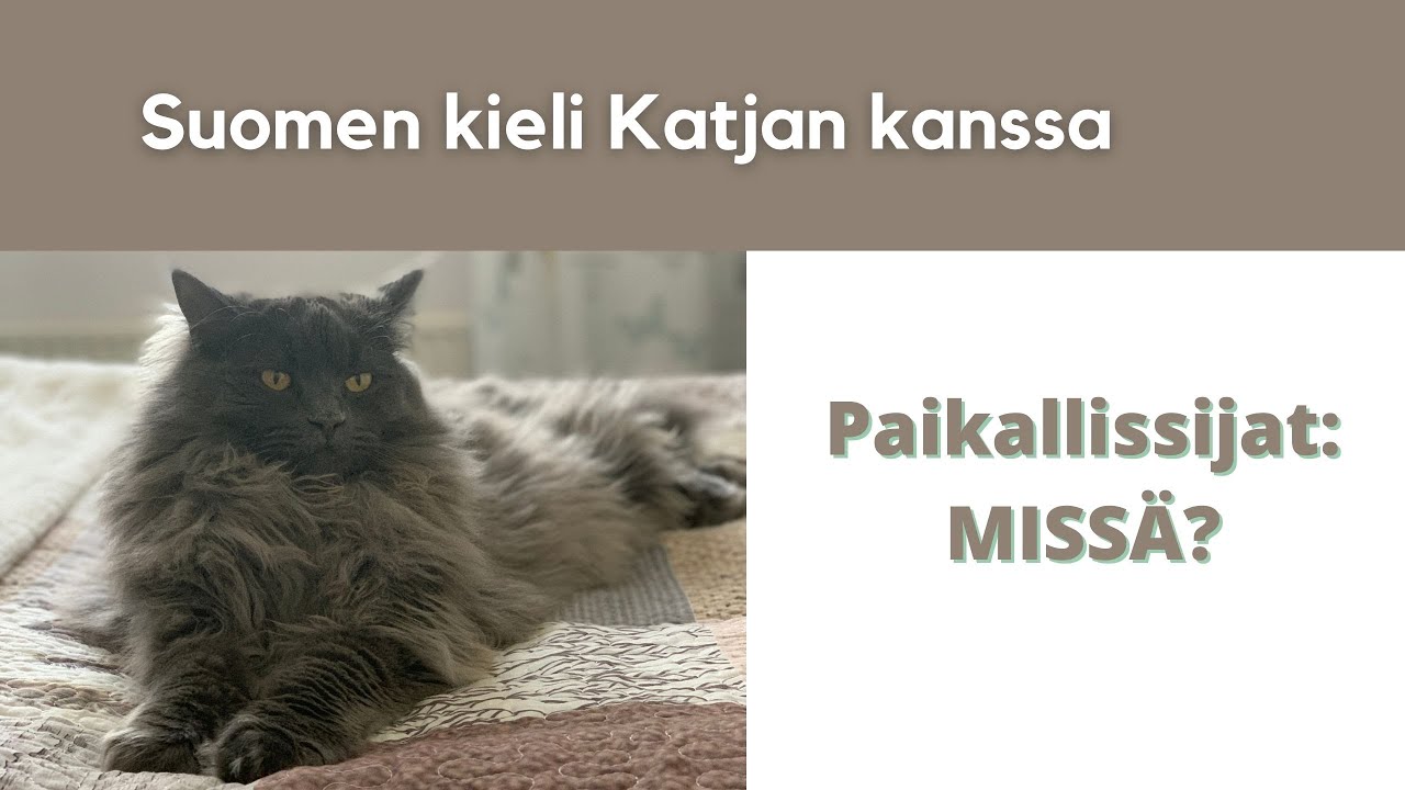 Missä | Paikallissijat | Suomen kieli Katjan kanssa