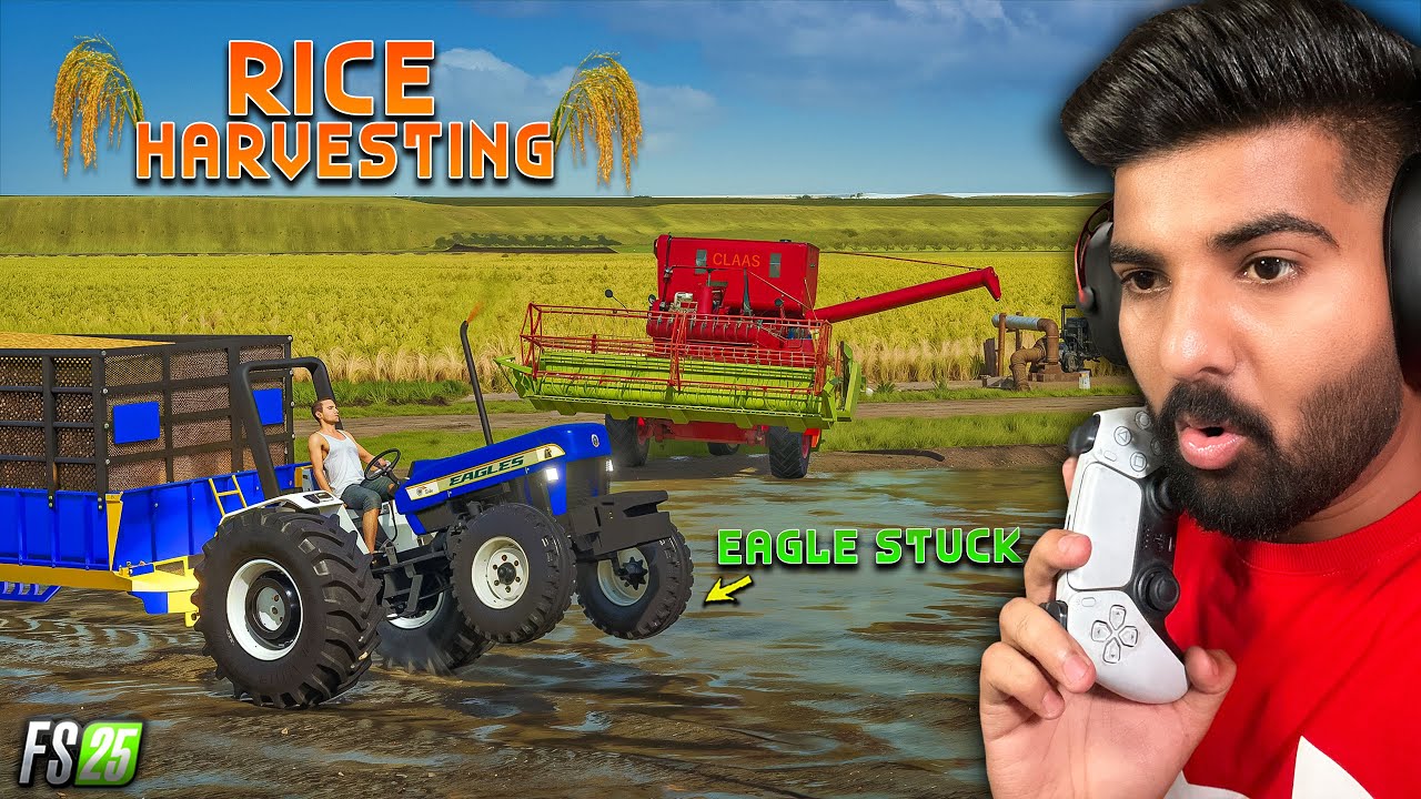 Eagle 3630 Khub Geya | Rice Harvesting | FS25 | Happy Goldsmith