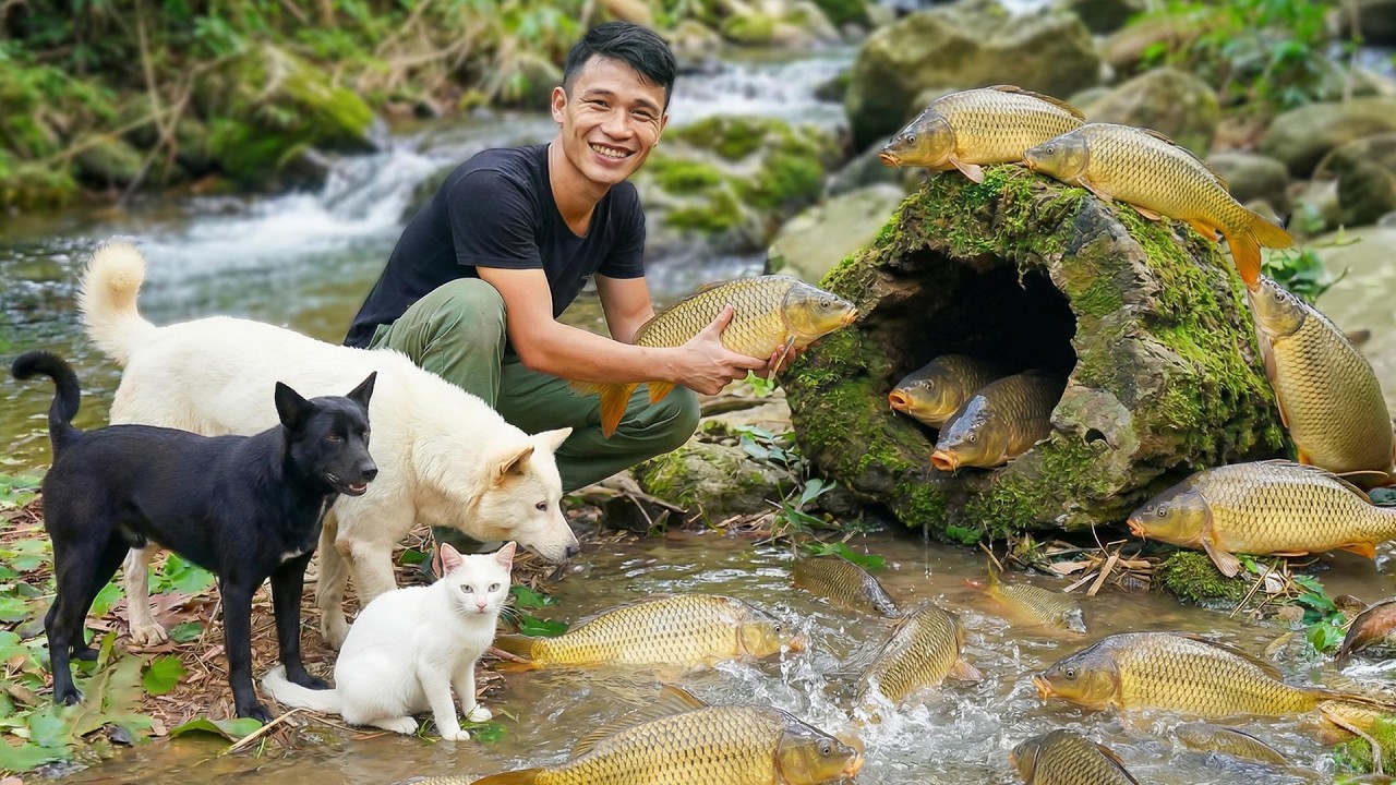 Catching Fish with Cast Net Goes to Market to Sell | Cooking & Farm Life | Young CEO with Tom and Lu