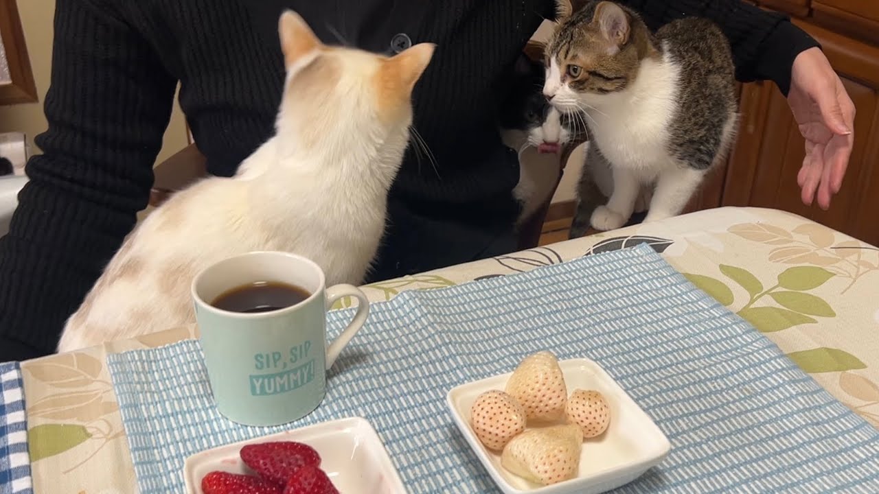 優しいコメント沢山ありがとうございます！