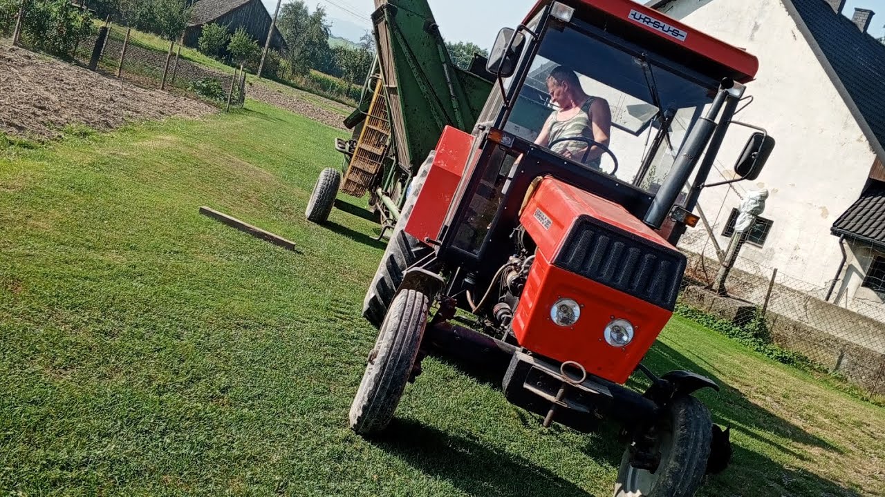 🔥Oporowe wykopki ziemniaków 2024🔥2 Ursusy c360&hassia w akcji🔥Pełna przyczepa ziemniaków🔥