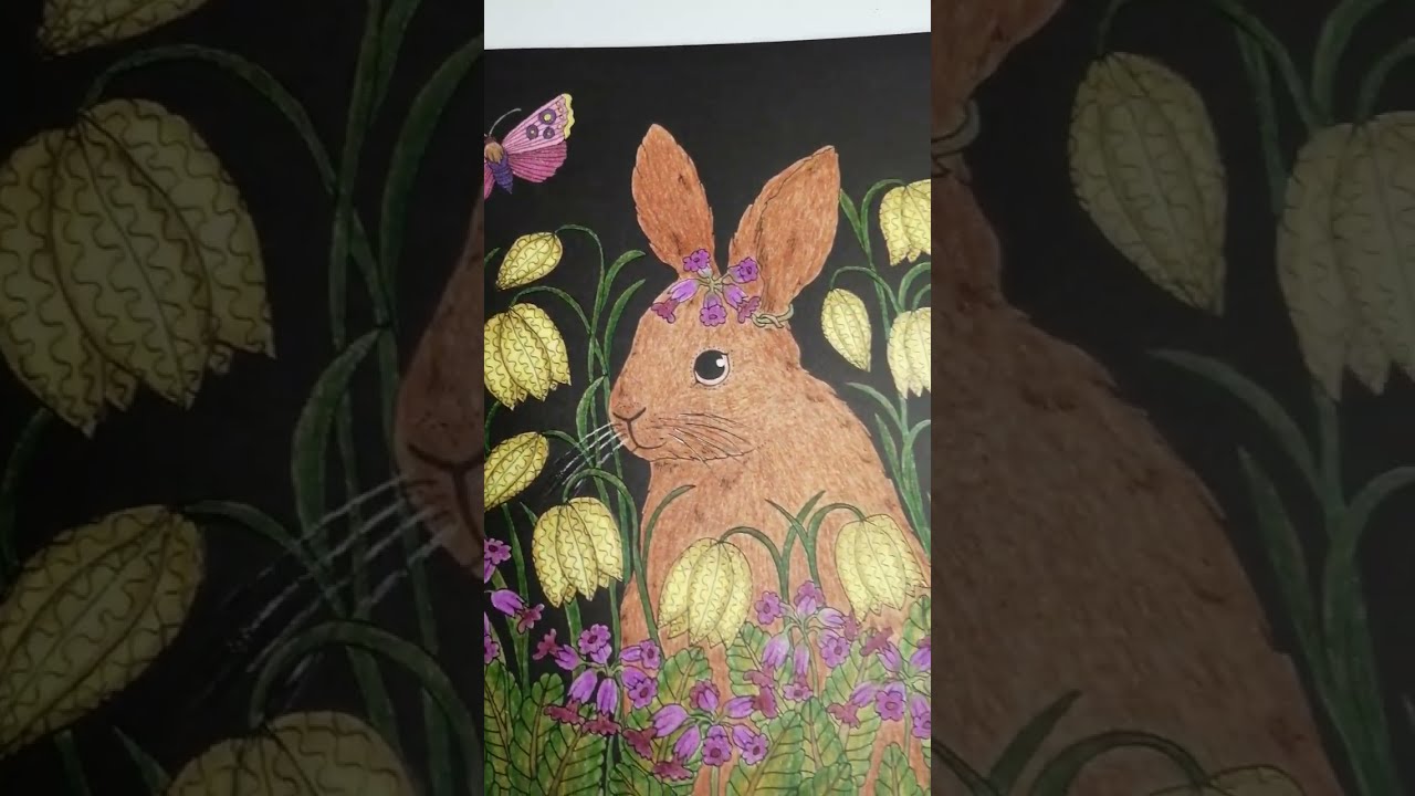 Coloring Book Nightfall by Maria Trolle [SUB] / Pages 18 to 19 