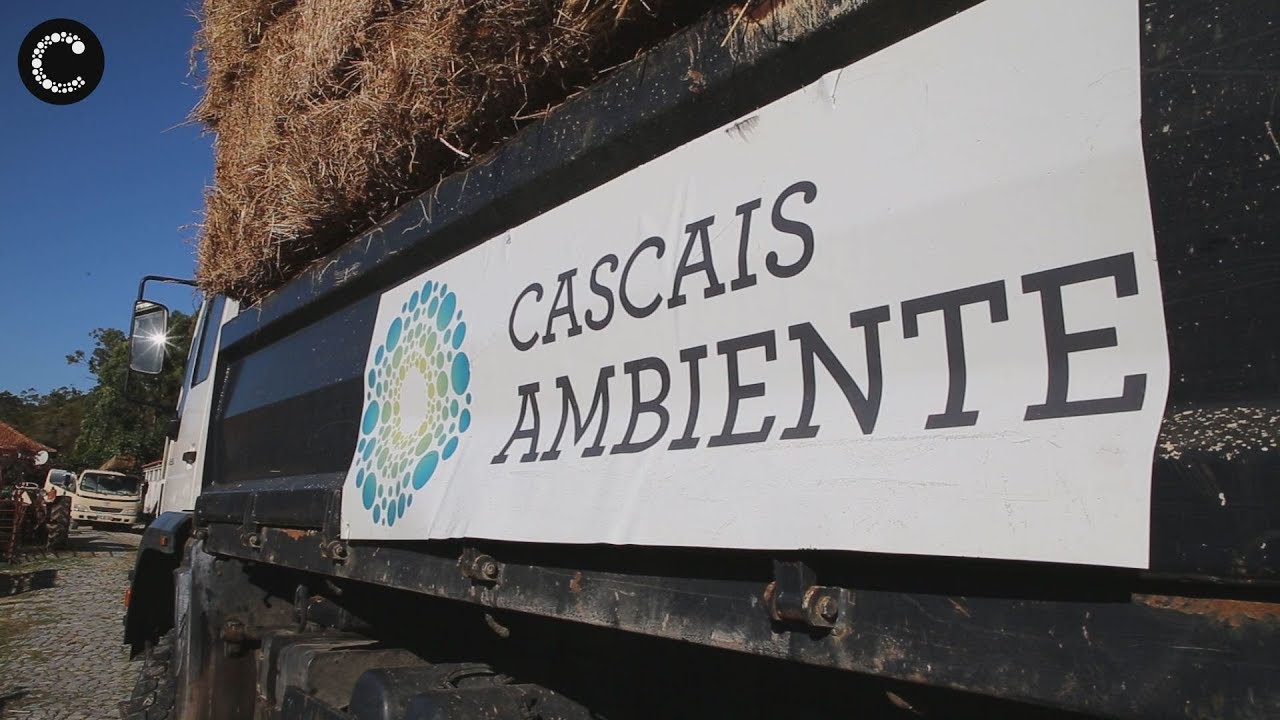 Cascais Solidário | Quinta do Pisão apoia zonas afetadas pelos incêndios
