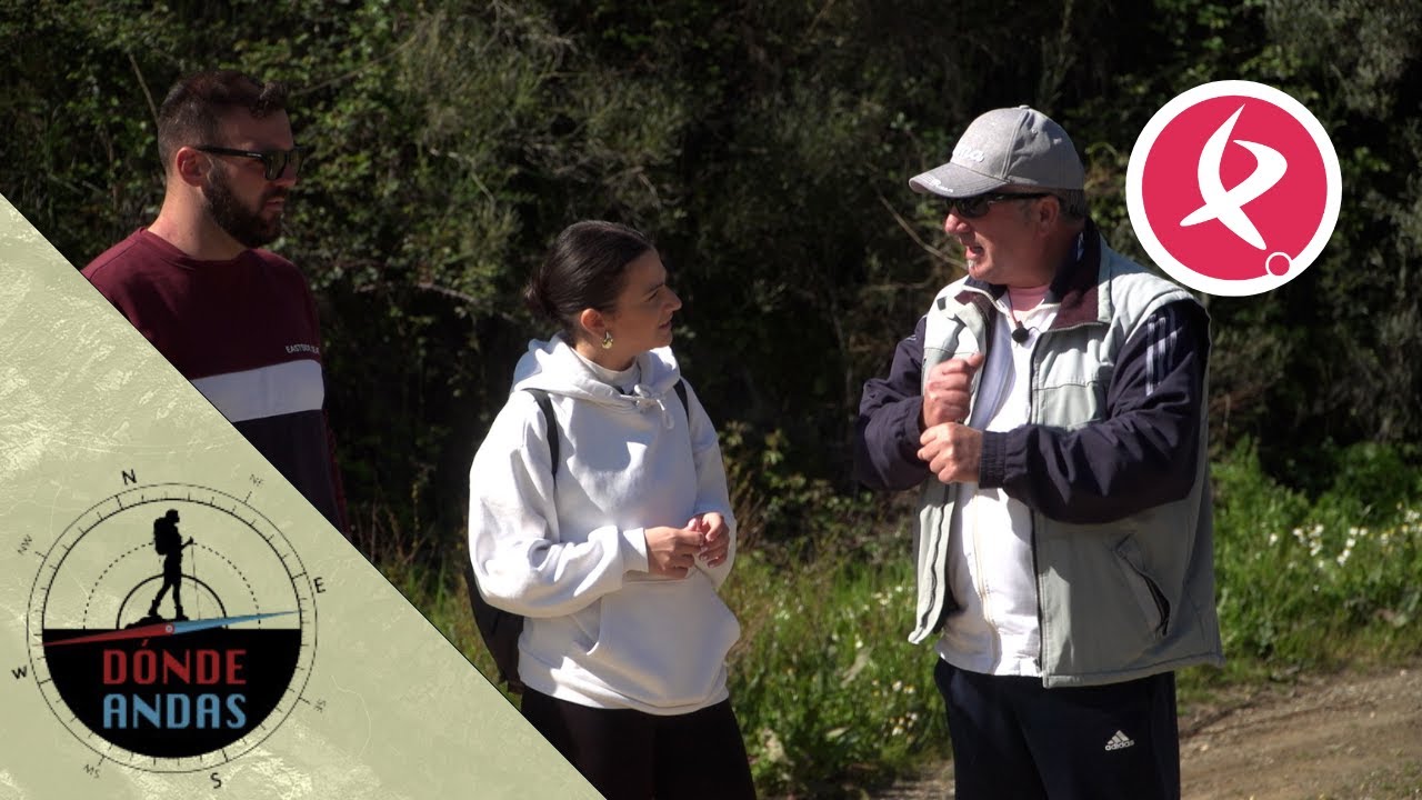 ¿De dónde viene el nombre de Cedillo? | Donde andas