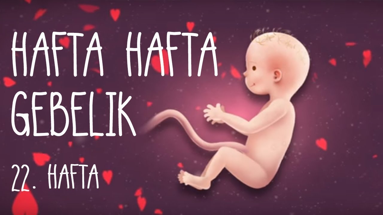 Hafta Hafta Gebelik 22. hafta