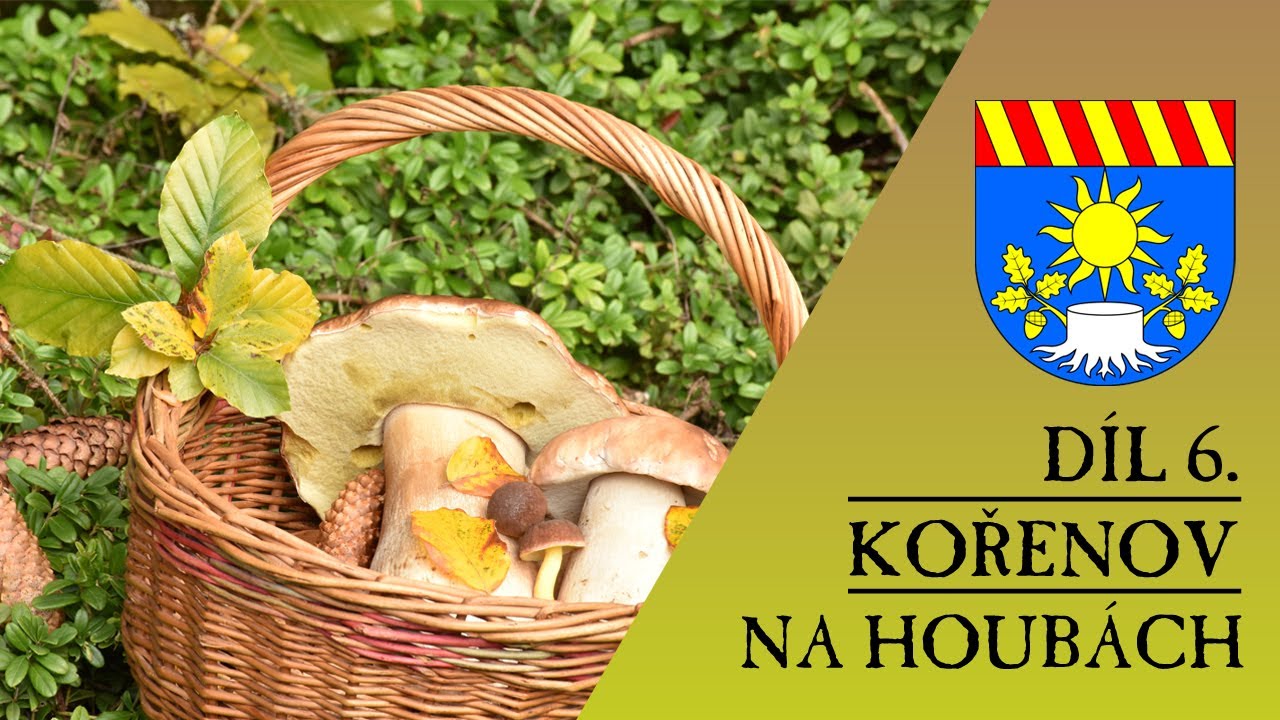 Kořenov, díl 6 - Na houbách